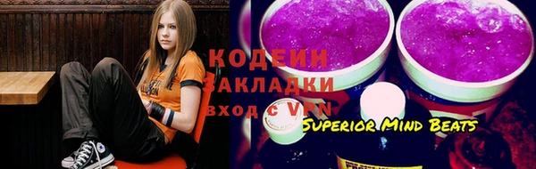 прущие грибы Сафоново
