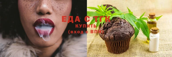индика Саяногорск