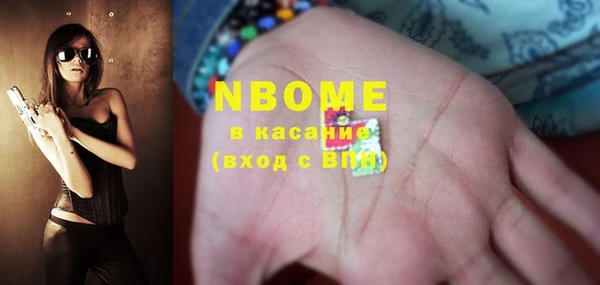 индика Саяногорск