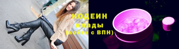 индика Саяногорск