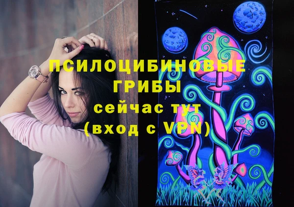 гидра Сатка