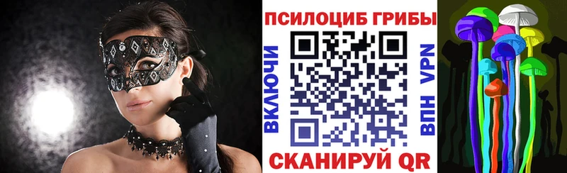 Псилоцибиновые грибы Magic Shrooms  как найти закладки  Тихвин 